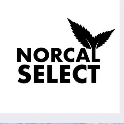NorCal_Select's profile picture. Craft Seed Bank   #Hemp #cannabis  Free  Breeders  Guide .  #Kush  #hash  Seeds  #PlantSeeds  #GrowYourOwn #CherryKush   Adults  Only
