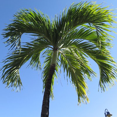 FBeatmap90440's profile picture. 