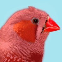 Hourly Species(@HourlySpecies) 's Twitter Profile Photo