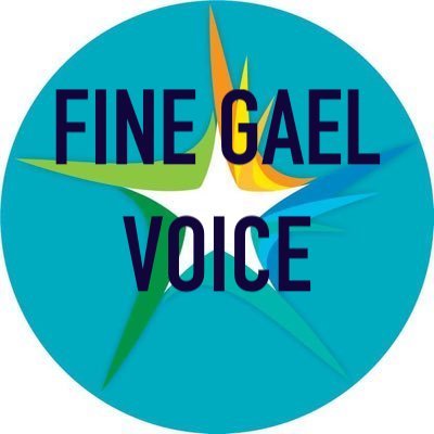 Coming soon. Member Led Independent Fine Gael Website.