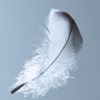 Herkejos68's profile picture. 🇵🇱✝️ z narodzin i zamiłowania.
Są rzeczy znane i nieznane a pomiędzy nimi...To, co nazywamy normalnością, to tylko krąg światła wokół ogniska. https://t.co/3jrvu3dUJI