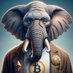 Crypto Elephant (@0cryptoelephant) Twitter profile photo Crypto Elephant (@0cryptoelephant) Twitter profile photo