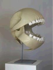 GameBoyNL's profile picture. I am a games maniac! Thats all you need to know | Gamer for Life