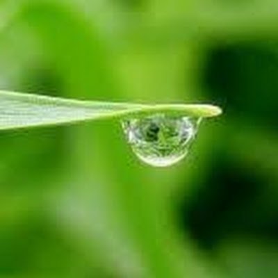 miraa43254's profile picture. 