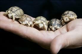 MissMoony97's profile picture. Hey all im a fanfiction writer from http://t.co/ZCt5fInNHy if you would like to read my stories then click on the link http://t.co/G6qHtoRK56