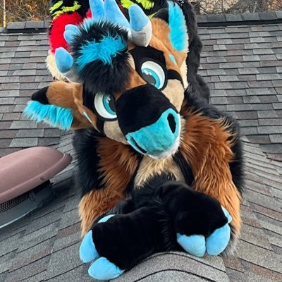 Live on the top of the world, Be your best self! A Bou. 25 ✂️@HeadsAndTailsAZ fursuiter “18+ pls” 420+ Venison to a coyote. header art @slumberyote