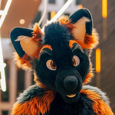 Happy and lovable cross fox! 🧡🖤

| 21 | 🇧🇪 & 🇵🇱  | Bi | He/Him | @ThespidoxZiggy 💙💚 | @Fur_Delicious suiter |

| PFP and banner @SkygeJager |