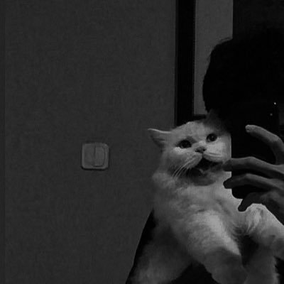 shaheer_16's profile picture. //🐥