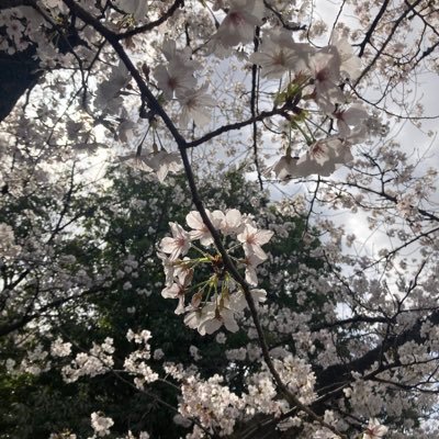 fuckcpz's profile picture. 