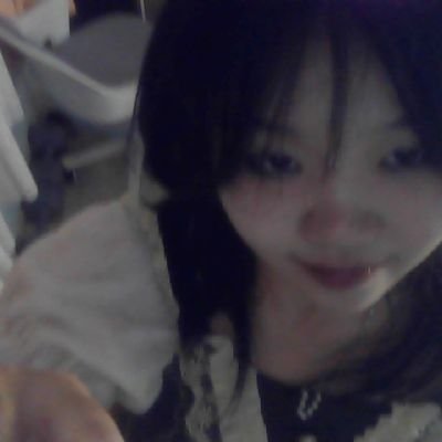 2harnessed's profile picture. veil and lace ; from the (im)perfect velvet