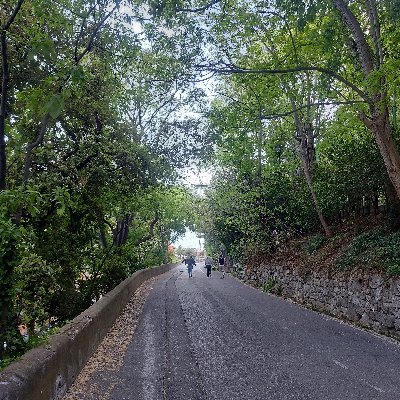 untrehumain7's profile picture. 