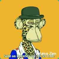 _ nfts _ _ art lover _ community builder _ web3 artist _