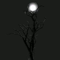 Shahid Aehmad (@sdmd534334) 's Twitter Profile