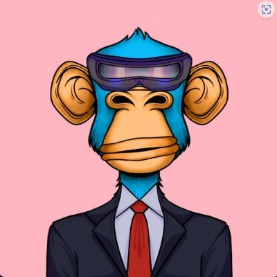 hharoldim's profile picture. Memecoin Lover