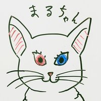 保護白猫のまる子(@maruko_Whitecat) 's Twitter Profile Photo