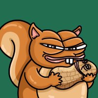 PNUT (@pnutonsolana) 's Twitter Profile