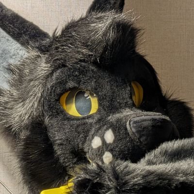 New wolf here to steal hugs! 22/bi/New to fursuiting. Potentially spicy so minors be gone