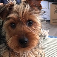 Buds Momma (@budsmomma) 's Twitter Profile