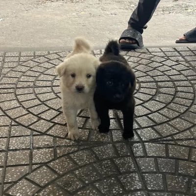 tuổi trẻ ước mơ chủ yếu bán vé số kiếm tiền tỷ chỉ ở thiên đường XHCN Việt Nam 🇻🇳