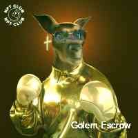 gllemoescrwwo's profile picture. Nfts are digital birth certificates