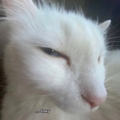 icarusmomento's profile picture. im just a girl 🍓