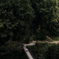 🏳️ (@olk_p0) 's Twitter Profile