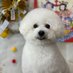 uhugusuku@Y (@lg2y7nfdj79umkn) Twitter profile photo uhugusuku@Y (@lg2y7nfdj79umkn) Twitter profile photo