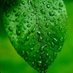 ษงฤฑสฤลฒ ฦฤลฒะ (@freedombell99) Twitter profile photo ษงฤฑสฤลฒ ฦฤลฒะ (@freedombell99) Twitter profile photo