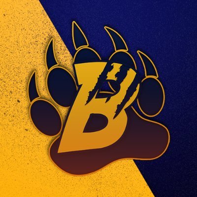 BaerganGaming Profile Picture