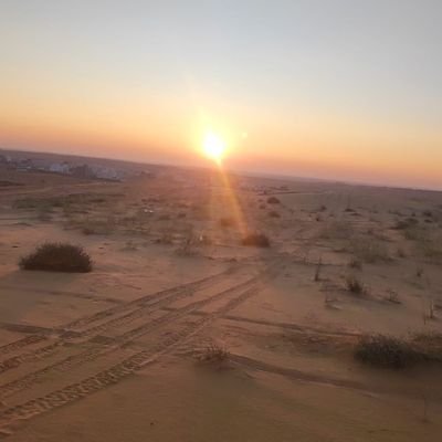 Powerbidev's profile picture. 