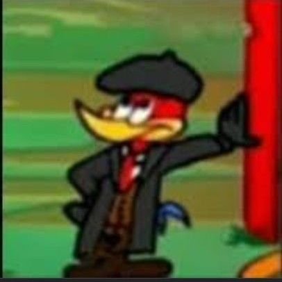 duplacasi's profile picture. só me segue de volta q vc vai entender pf