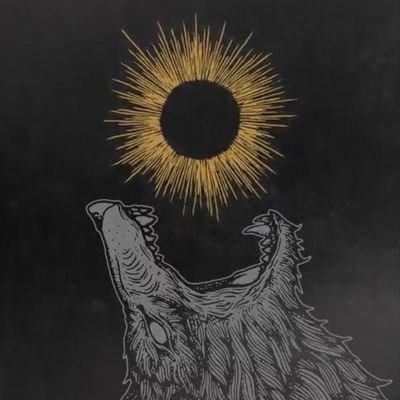 Hisham_364514's profile picture. 🔻