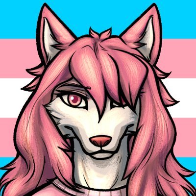 I make videos for @2gay2lift.

She/her, 31 year old video editor.

PFP drawn by @SunnyFolf.