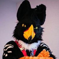 The LVFC StudGryph Experience ⛈️ 🔜 FWA (@studgryph) 's Twitter Profile