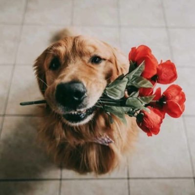 Directaccess0's profile picture. Good acting needs good inspiration. · Failure is the first step in learning ...