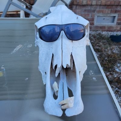 Jonatha97700405's profile picture. crypto and cool