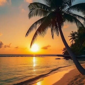 parkwayne3's profile picture. 