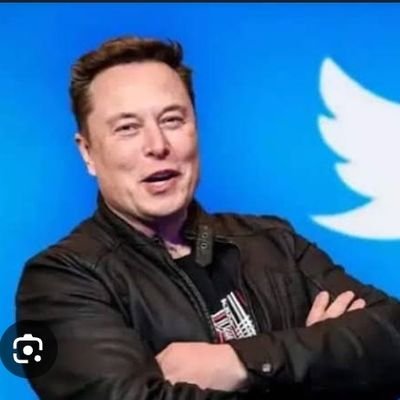 अरबपति और ट्विटर के मालिक एलन मस्क (Elon Musk) ने लिंडा याकारिनो (Linda Yaccarino) को ट्विटर का नया सीईओ बनाया है. मस्क ने ट्वीट करके इसकी जानकारी दी.