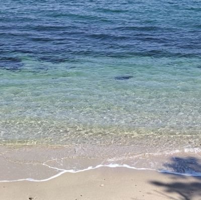 VFcxLMoXH6XhPbl's profile picture. 