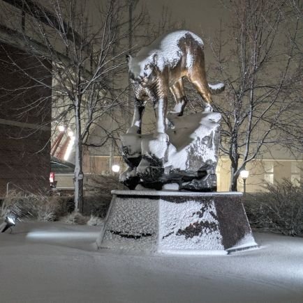 GoCougs365's profile picture. 