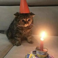 untiporandom (@untip0random) 's Twitter Profile