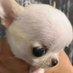 . (@berb04) Twitter profile photo . (@berb04) Twitter profile photo