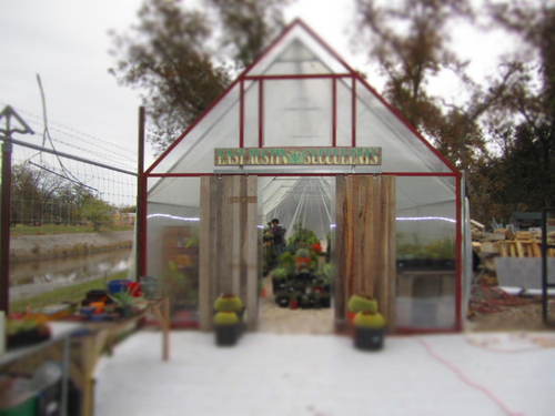 easucculents's profile picture. We do landscaping, custom arrangements, and plant sales.  We are located on 801 Tillery St, 78702 with Tillery St. Plant Co.