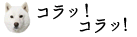 みなさんのやり場のない怒りを、こんちくしょー！botが変わりに発散してスカッとさせます。怒りを爆発させます。