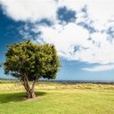 Tammy Epstein - @EpsteinTam77493 - Twitter