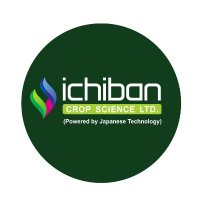 ICHIBAN CROP SCIENCE LTD.(@ichibancrops) 's Twitter Profile Photo