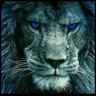 Retired law https://t.co/L1YdLjnjor soldier. OFFICER DOWN info daily.Executive movie producer .lobbyist for 9/11 health.featured in “ we’re not Leaving