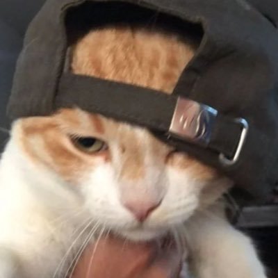 lckstkN2smkgbrl's profile picture. 서쟈니 정재현 127