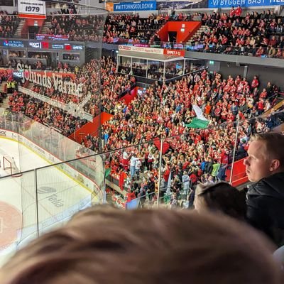 BultBunne's profile picture. MoDo