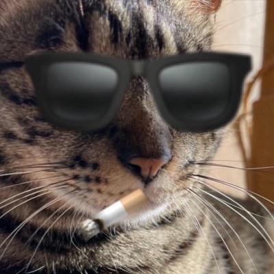 しあっくす🐱さんのプロフィール画像